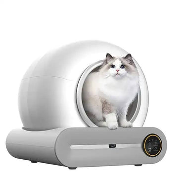 "Unlock More Quality Time With Your Cat!"